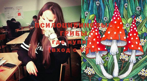 гашик Белокуриха